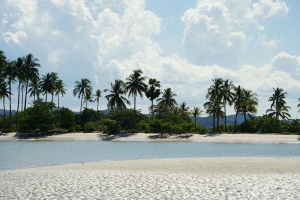 Discover Dartmoor's Bronze Age Mysteries: Your Ultimate Guide to an Enriching Guided Tour Experience