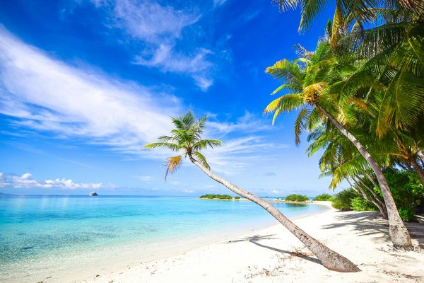 Unearth the rich tapestry of scottish heritage: top locations for enchanting traditional storytelling in the highlands