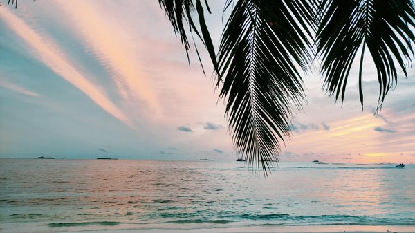 Explore the best uk spots for engaging guided tours celebrating british rural heritage